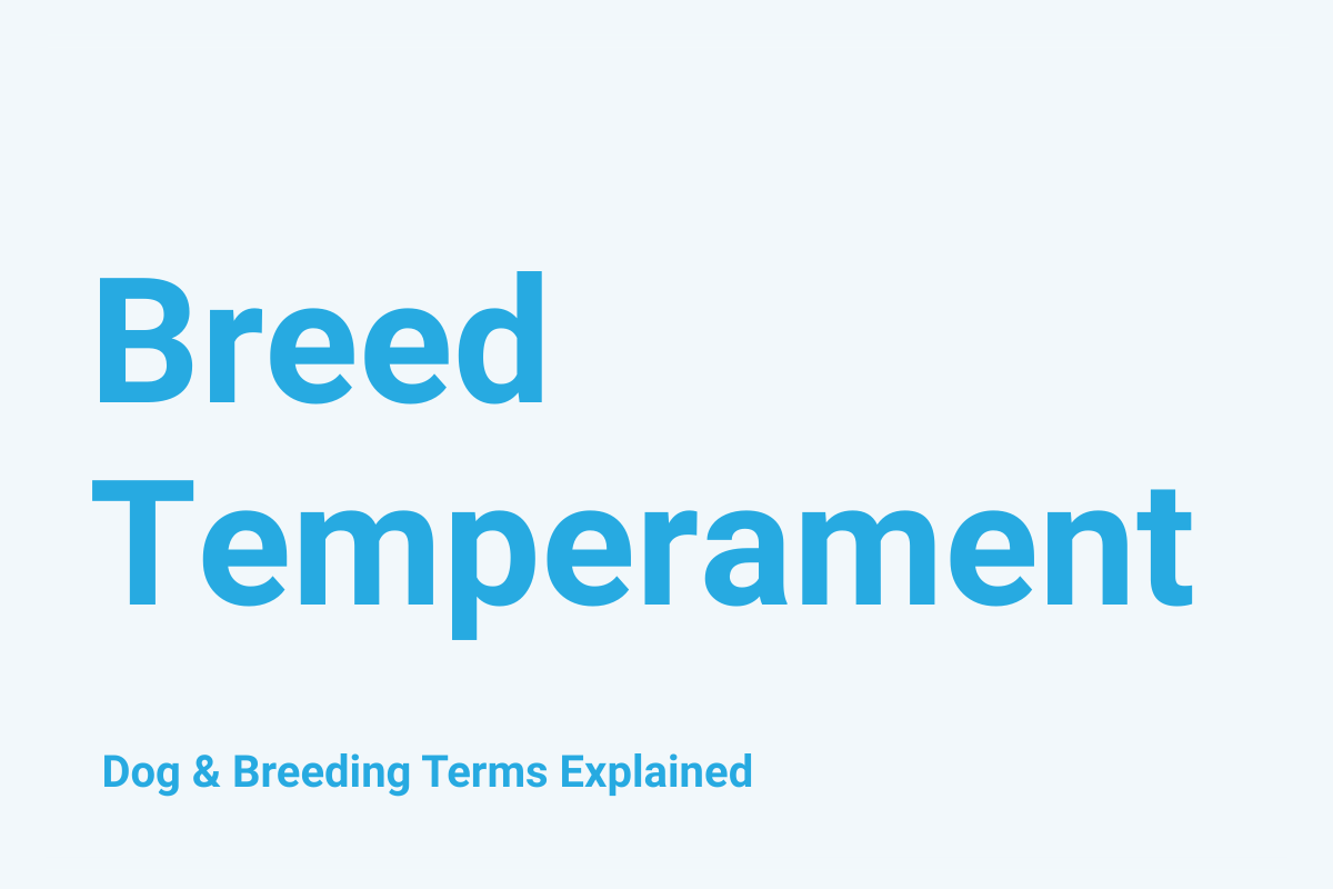 Breed Temperament: Dog & Breeding Term Explained