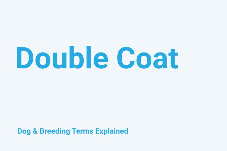 Double Coat: Dog & Breeding Term Explained