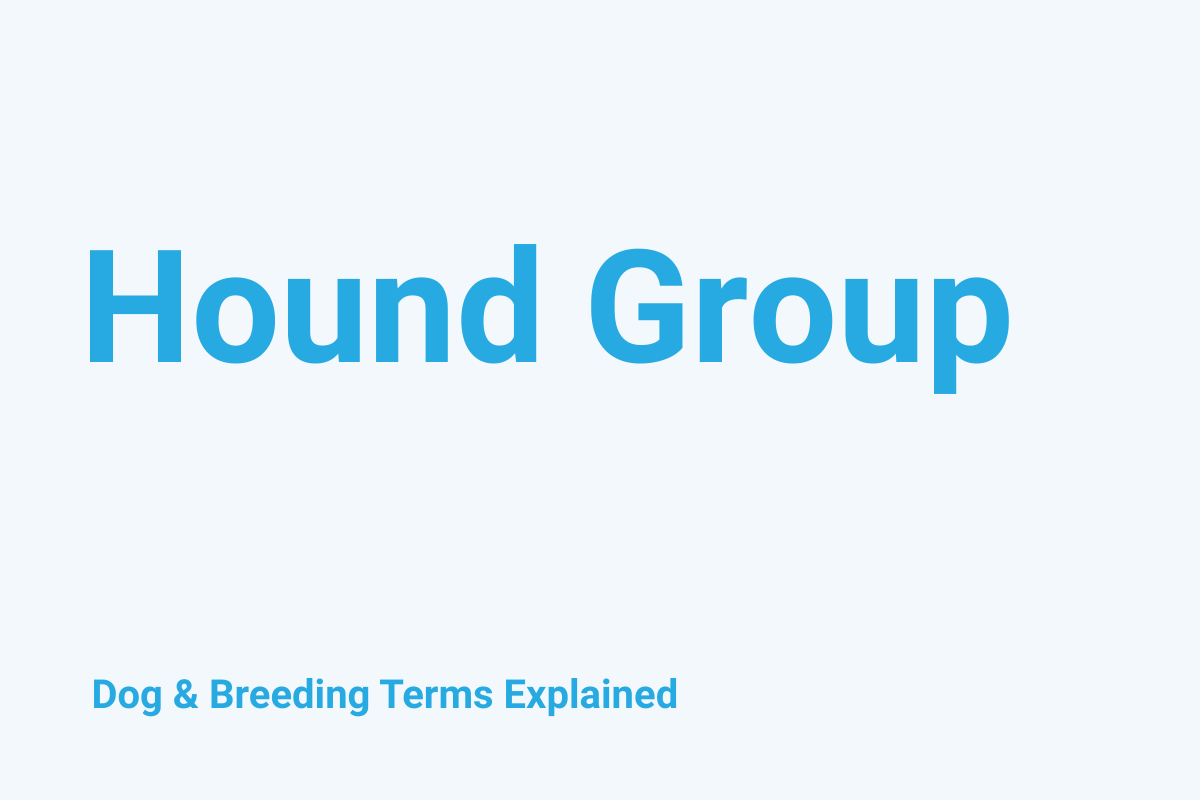 Hound Group: Dog & Breeding Term Explained