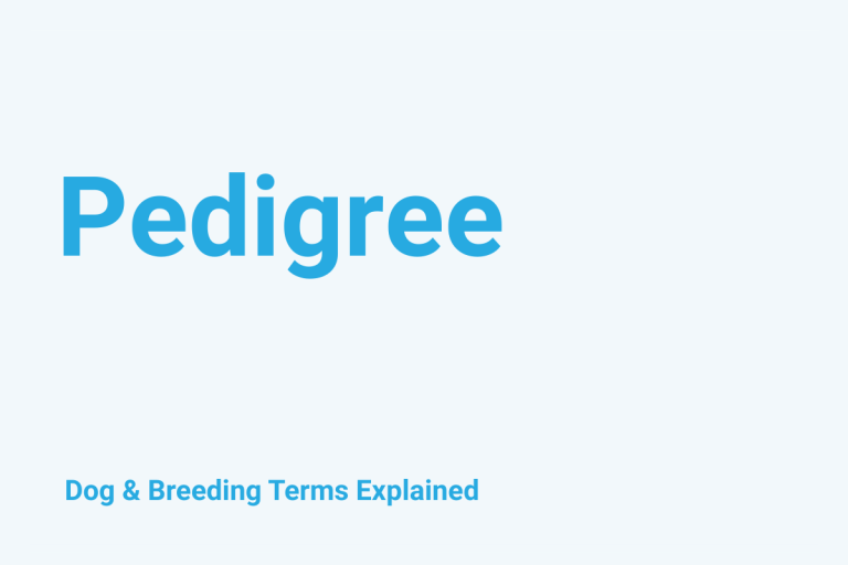 Pedigree: Dog & Breeding Term Explained