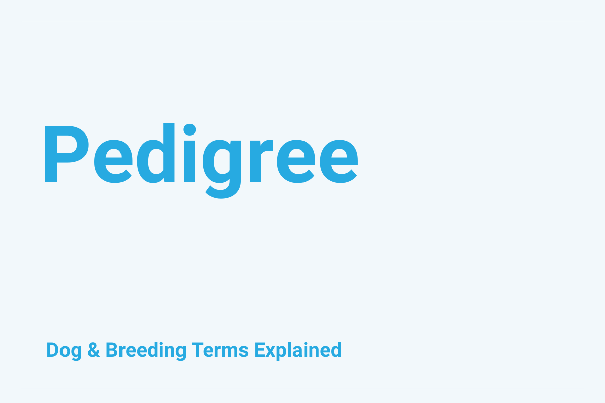 Pedigree: Dog & Breeding Term Explained