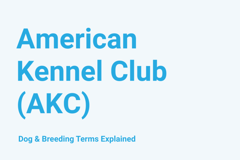 American Kennel Club (AKC): Dog & Breeding Term Explained