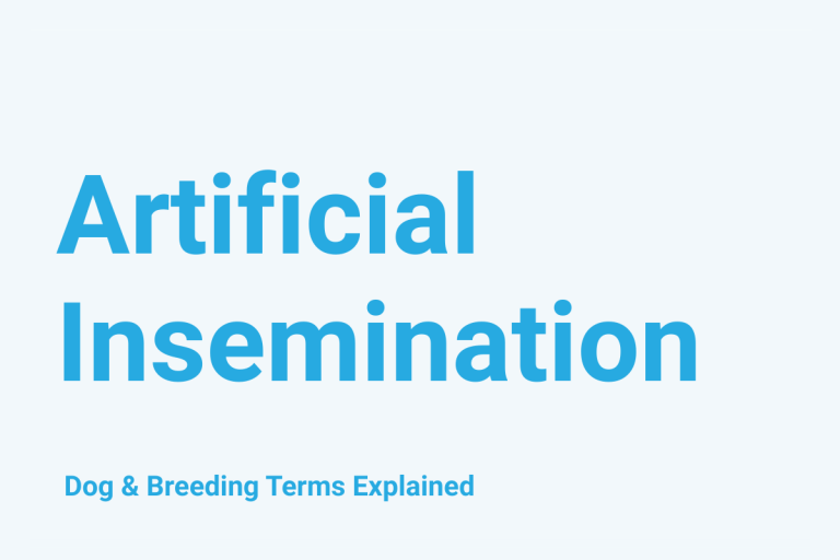 Artificial Insemination: Dog & Breeding Term Explained