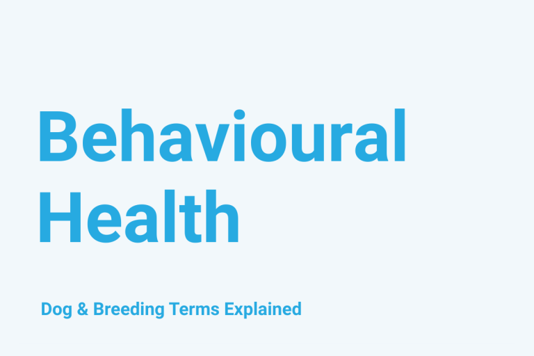 Behavioural Health: Dog & Breeding Term Explained