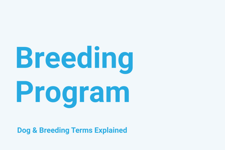 Breeding Program: Dog & Breeding Term Explained
