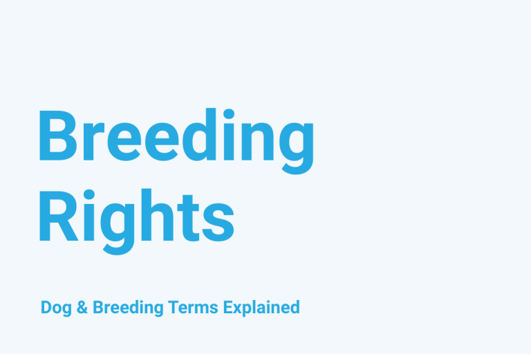 Breeding Rights: Dog & Breeding Term Explained
