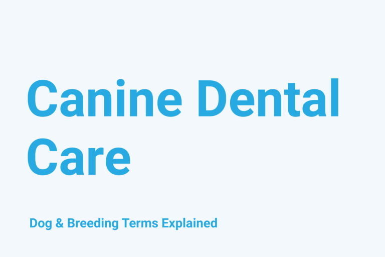 Canine Dental Care: Dog & Breeding Term Explained