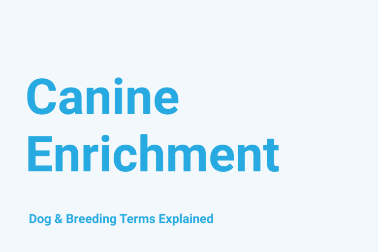 Canine Enrichment: Dog & Breeding Term Explained