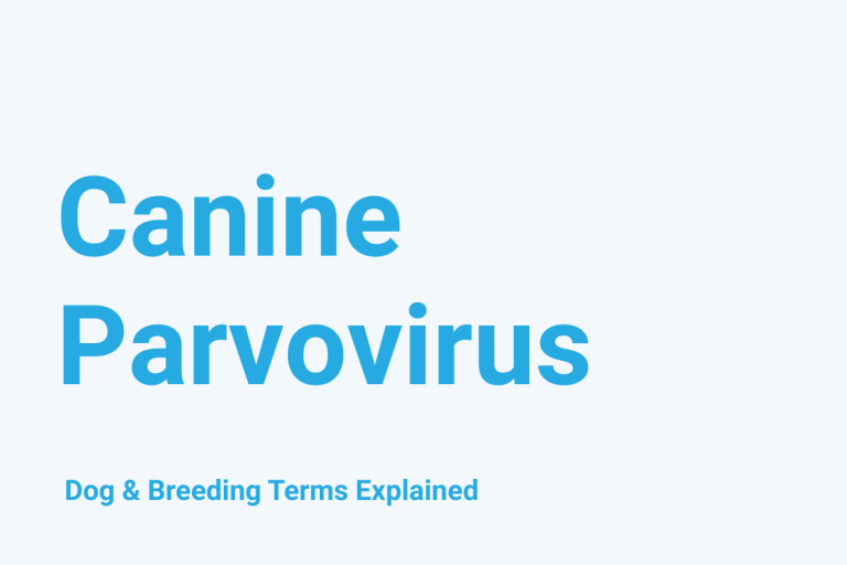 Canine Parvovirus: Dog & Breeding Term Explained