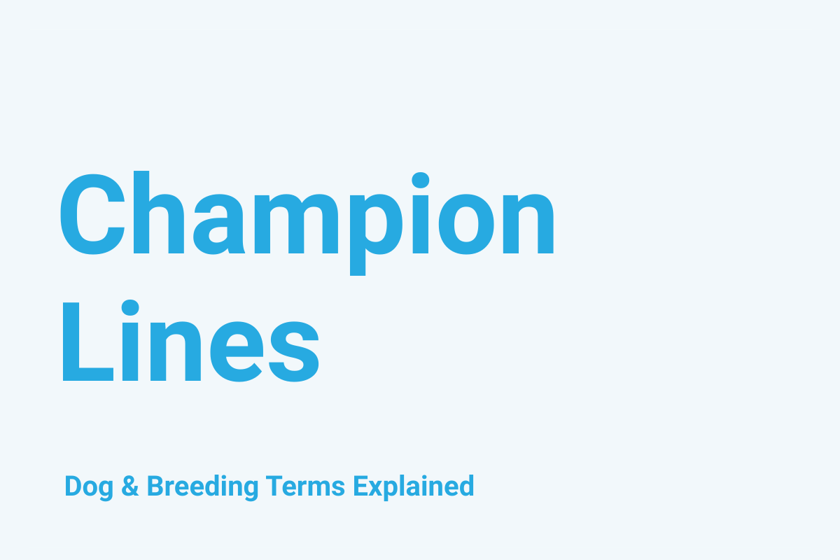 Champion Lines: Dog & Breeding Term Explained
