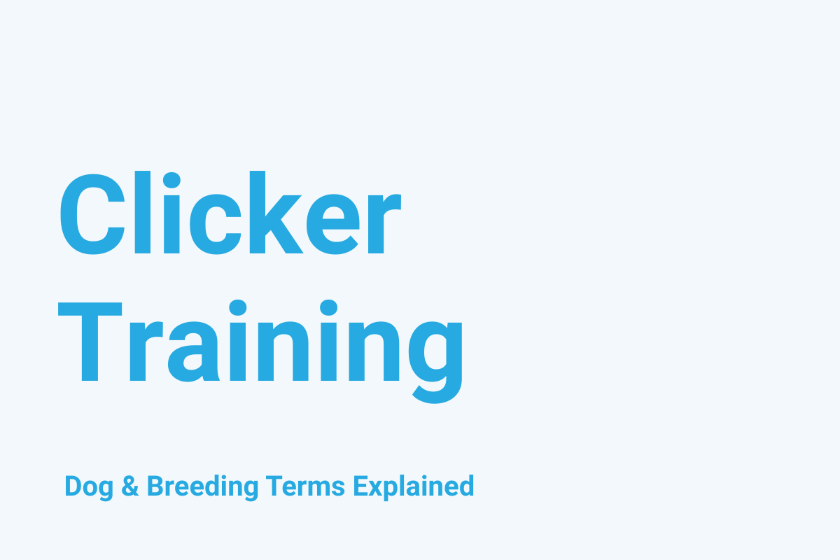 Clicker Training: Dog & Breeding Term Explained