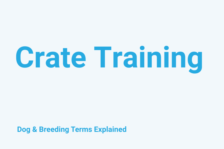 Crate Training: Dog & Breeding Term Explained