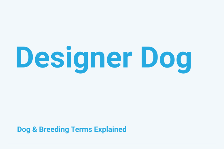 Designer Dog: Dog & Breeding Term Explained