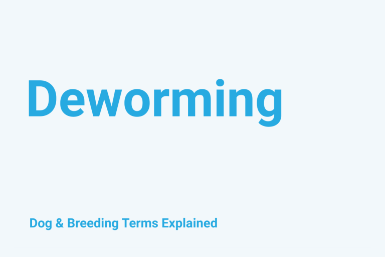 Deworming: Dog & Breeding Term Explained