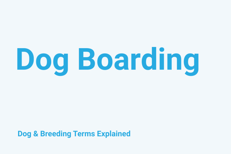 Dog Boarding: Dog & Breeding Term Explained