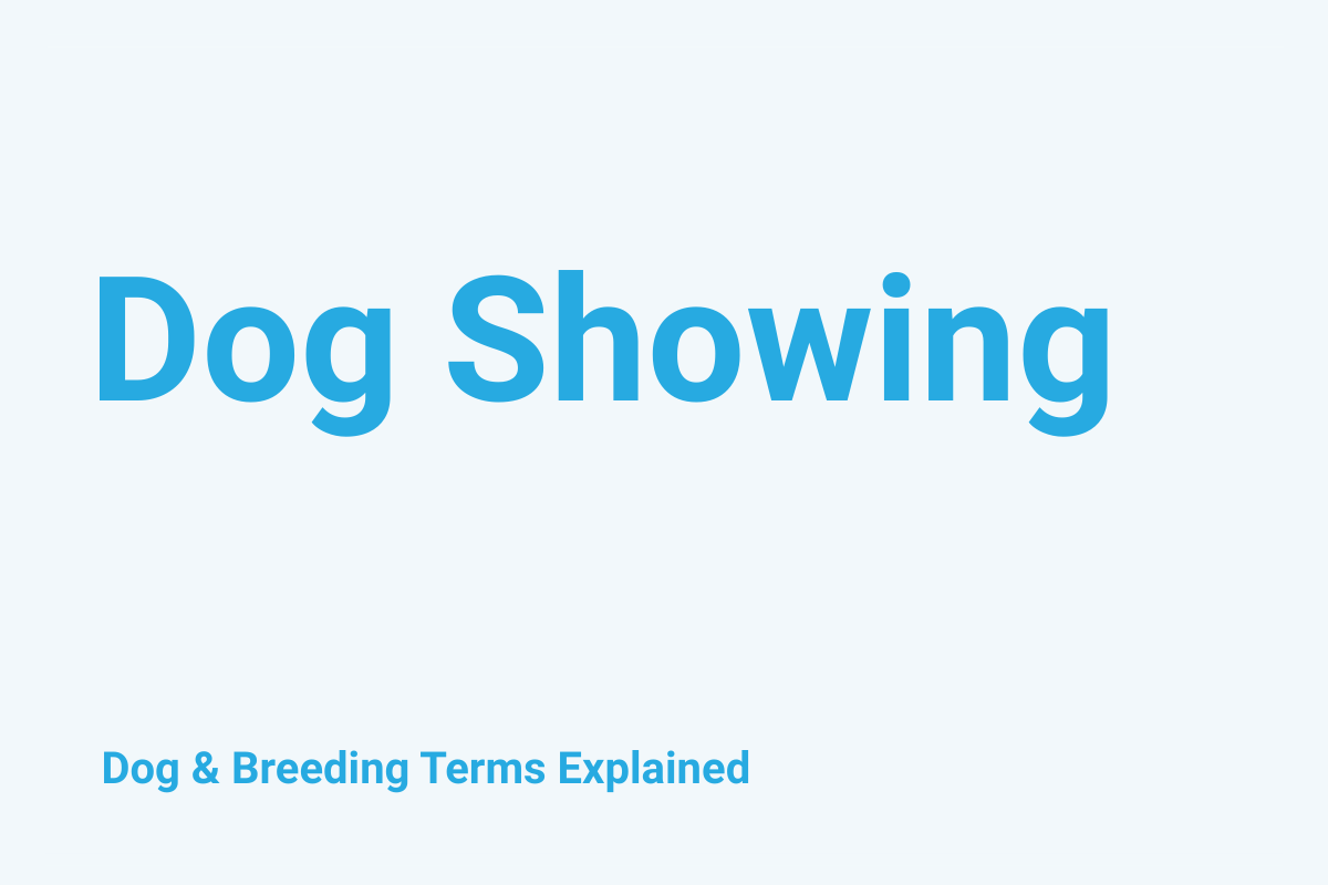 Dog Showing: Dog & Breeding Term Explained