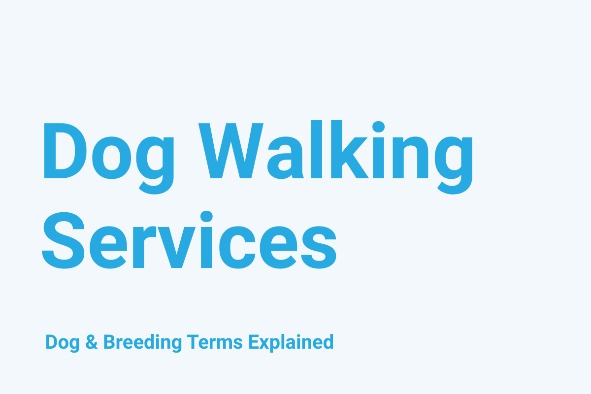 Dog Walking Services: Dog & Breeding Term Explained