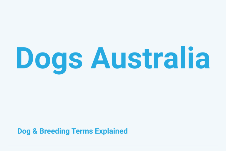 Dogs Australia: Dog & Breeding Term Explained