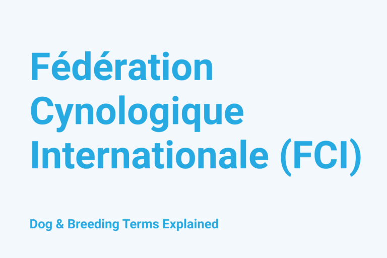 Fédération Cynologique Internationale (FCI): Dog & Breeding Term Explained