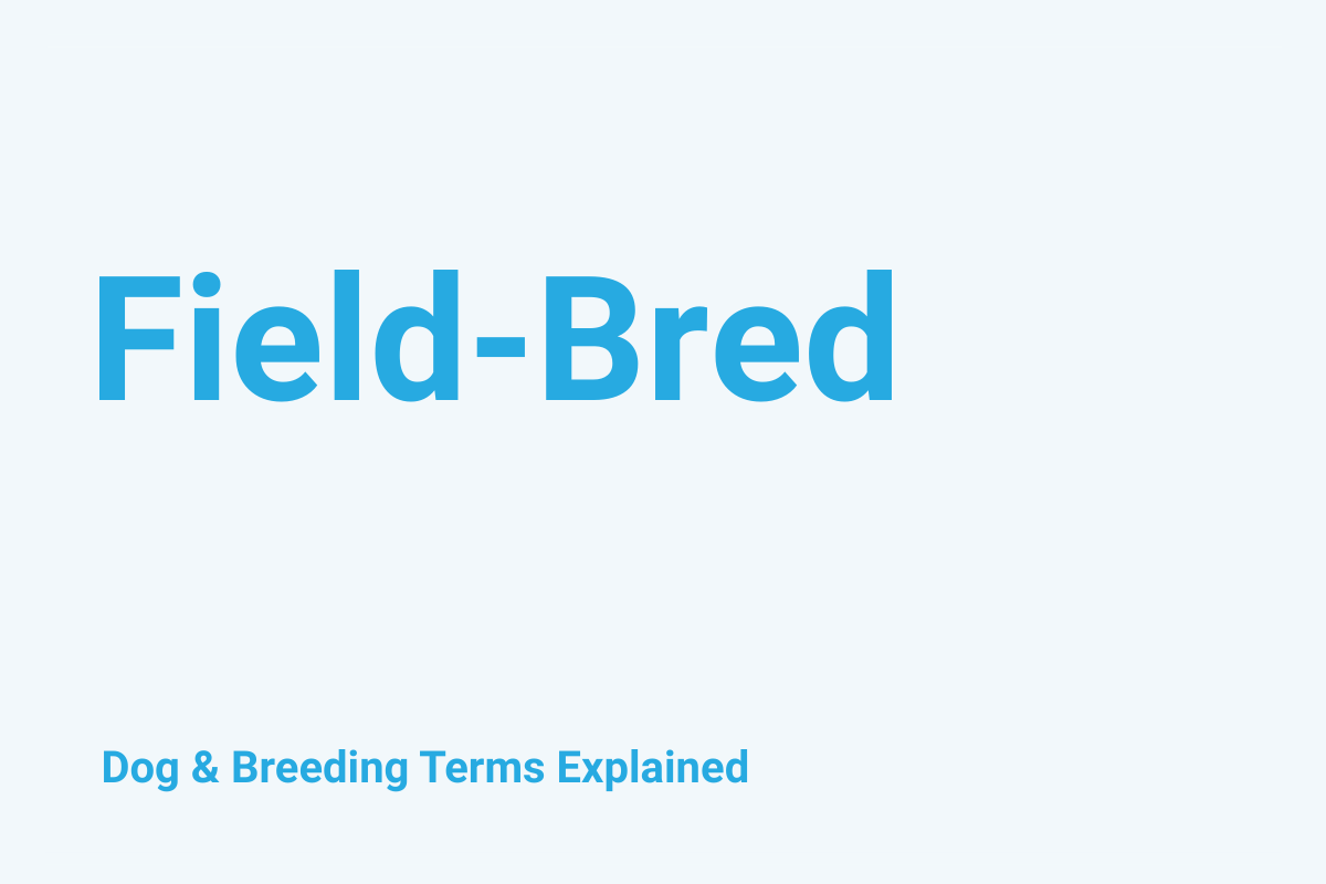 Field-Bred: Dog & Breeding Term Explained