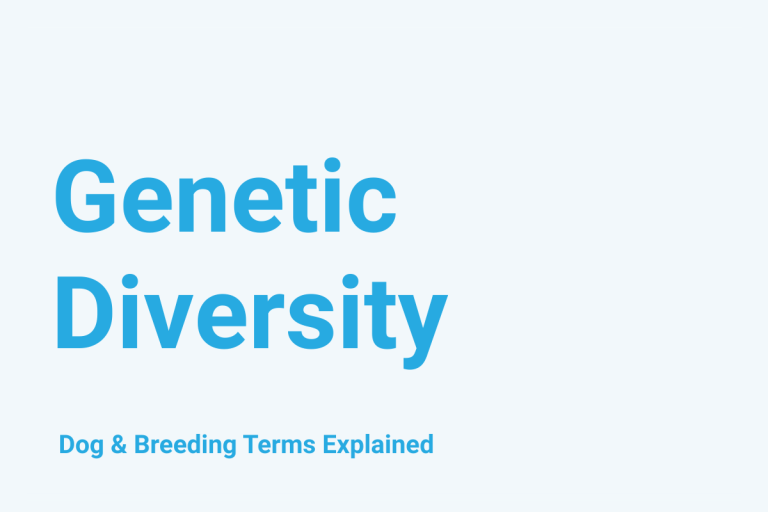 Genetic Diversity: Dog & Breeding Term Explained