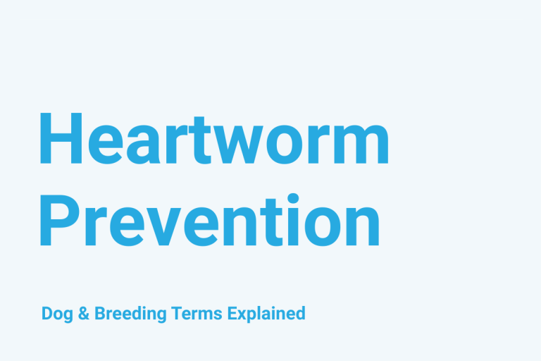 Heartworm Prevention: Dog & Breeding Term Explained