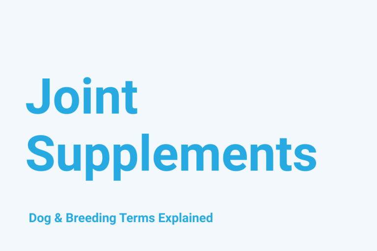 Joint Supplements: Dog & Breeding Term Explained