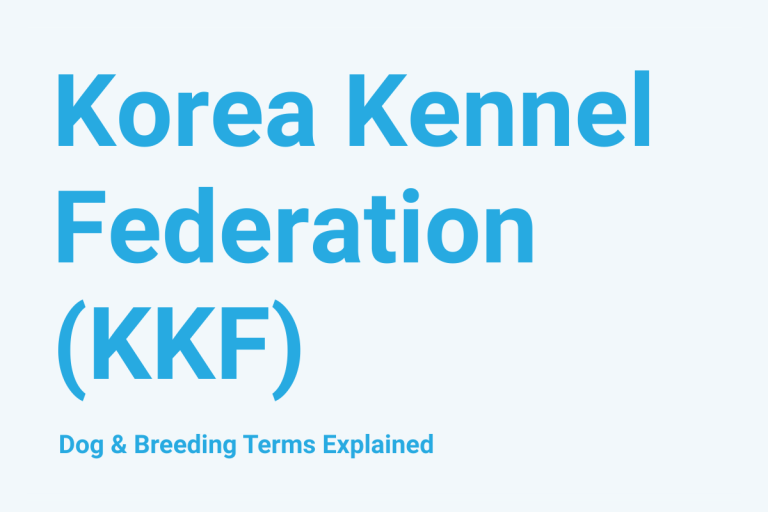 Korea Kennel Federation (KKF): Dog & Breeding Term Explained