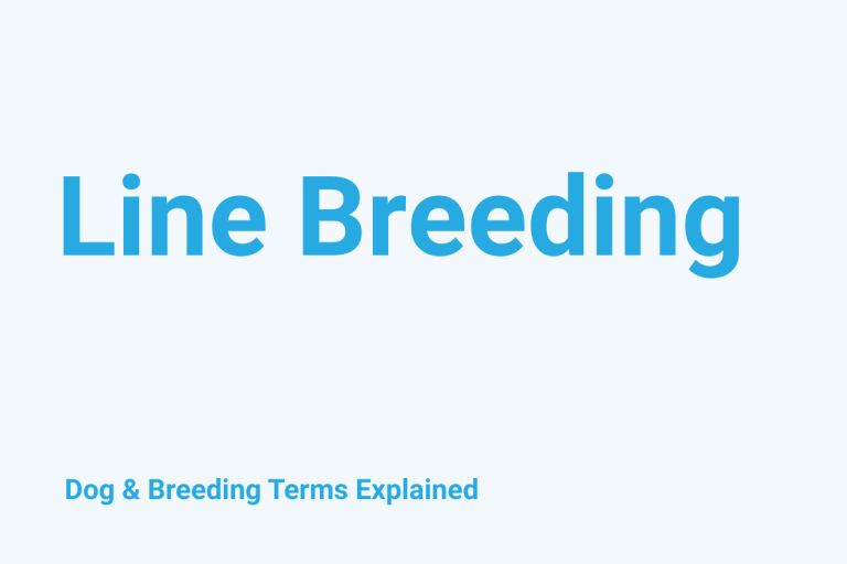 Line Breeding: Dog & Breeding Term Explained