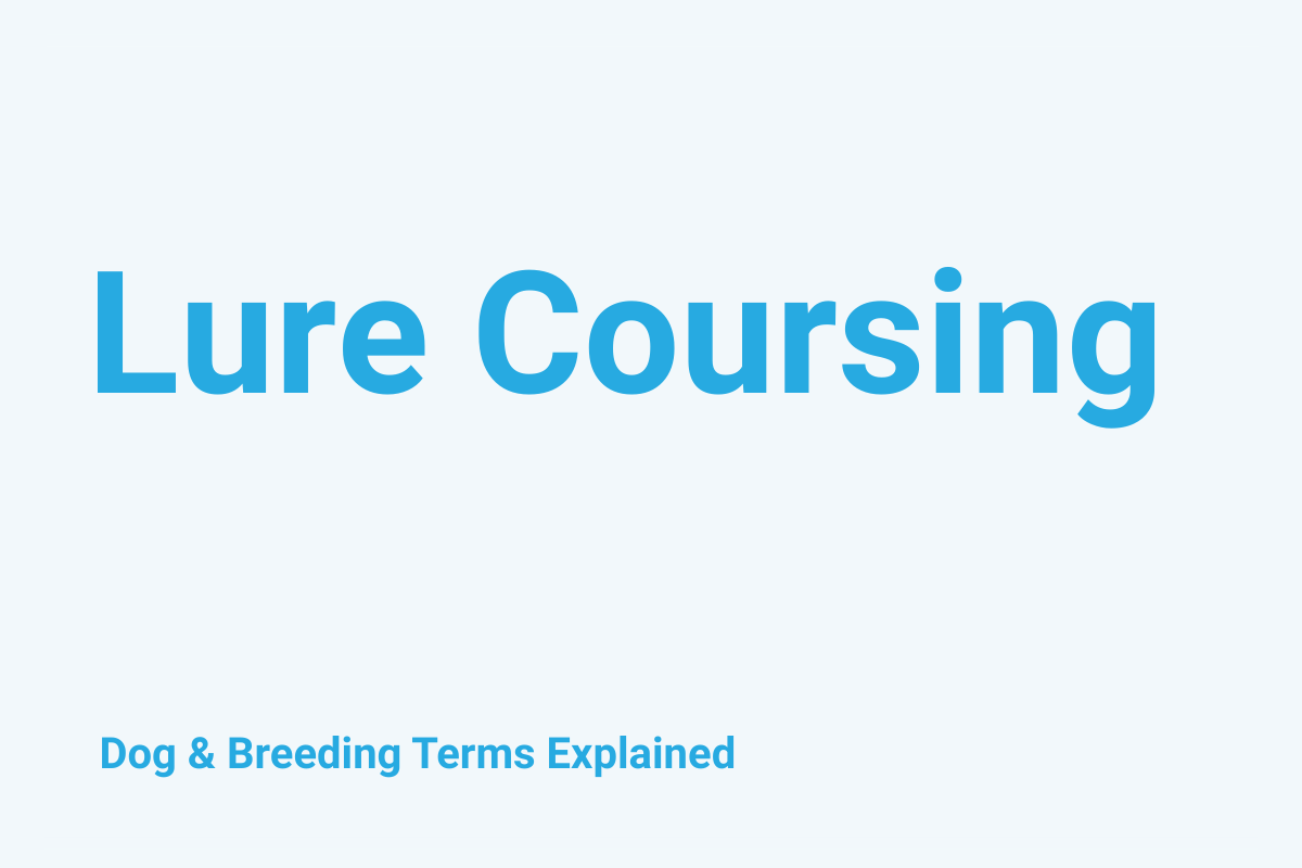 Lure Coursing: Dog & Breeding Term Explained