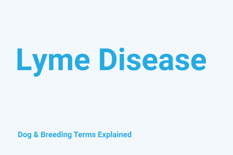 Lyme Disease In Dogs: Dog & Breeding Term Explained