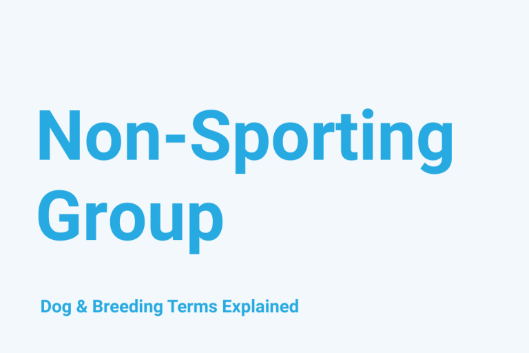 Non-Sporting Group: Dog & Breeding Term Explained