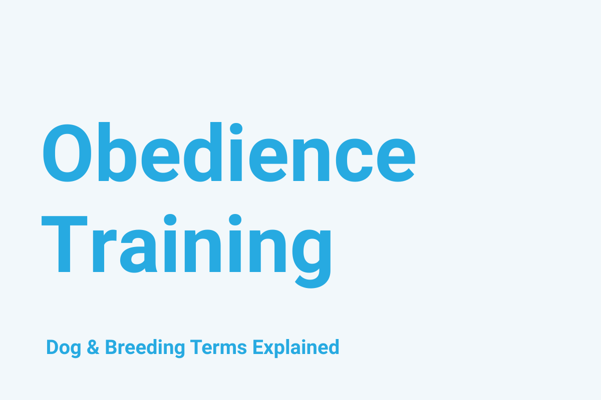 Obedience Training: Dog & Breeding Term Explained