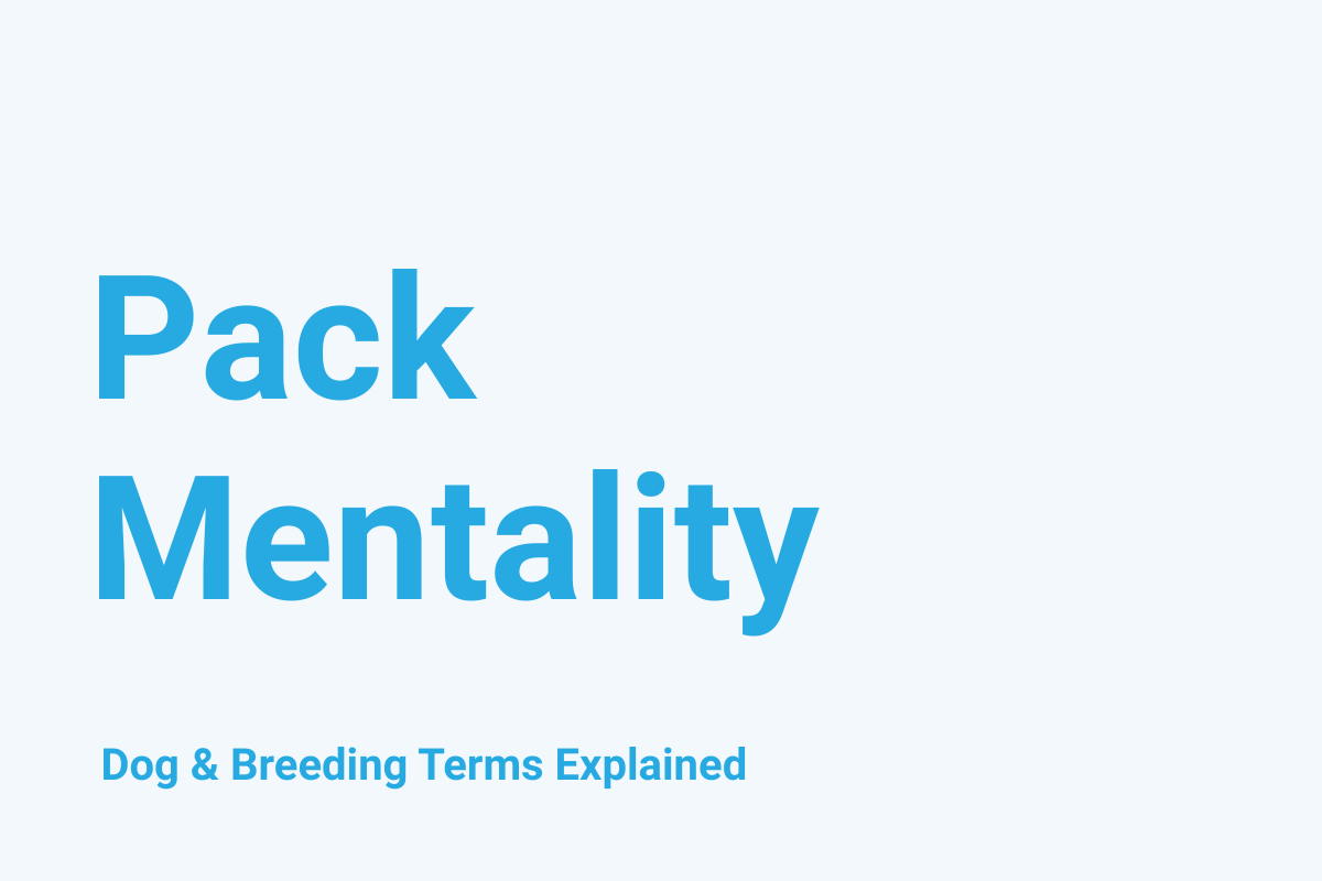 Pack Mentality: Dog & Breeding Term Explained