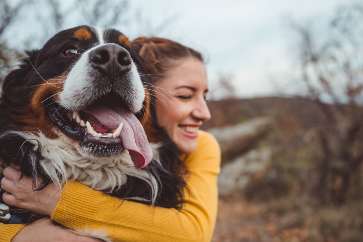 Is Pet Insurance Worth It? Benefits for Australian Pet Owners