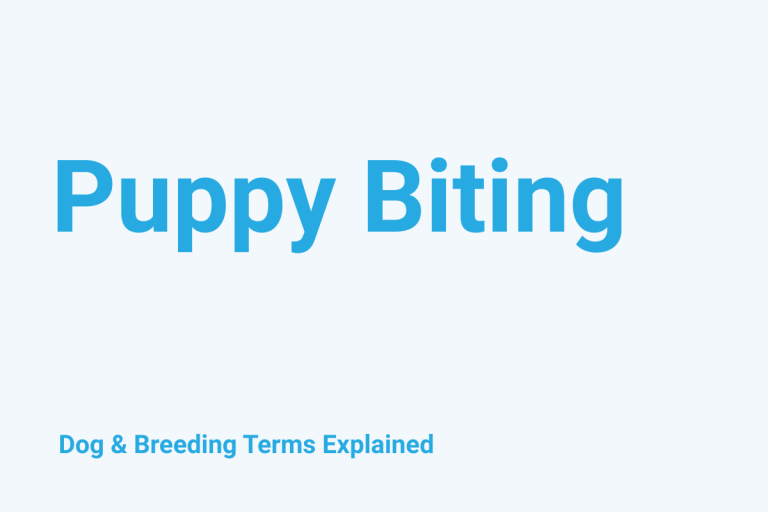 Puppy Biting: Dog & Breeding Term Explained