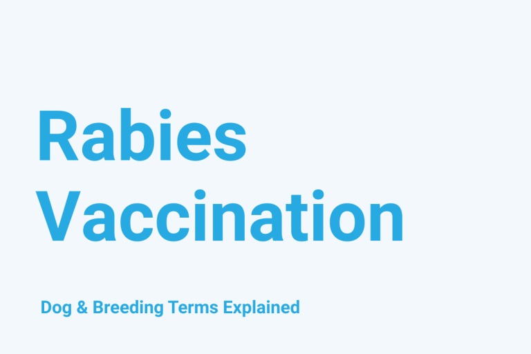 Rabies Vaccination: Dog & Breeding Term Explained