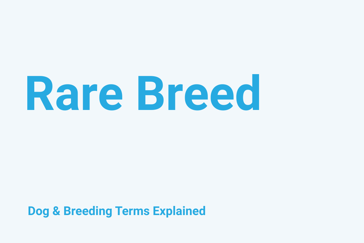 Rare Breeds: Dog & Breeding Term Explained
