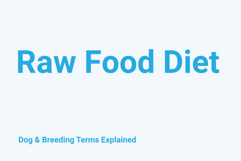 Raw Food Diet: Dog & Breeding Term Explained