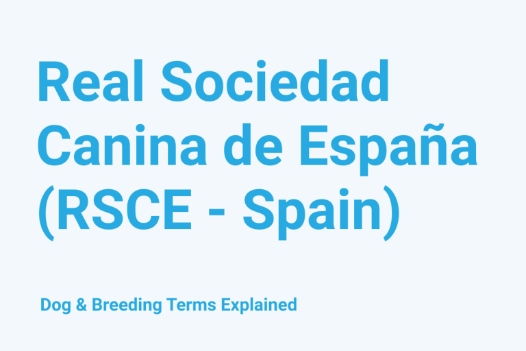 Real Sociedad Canina de España (RSCE - Spain): Dog & Breeding Term Explained