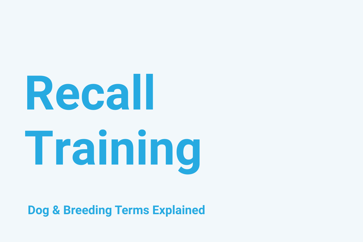 Recall Training: Dog & Breeding Term Explained