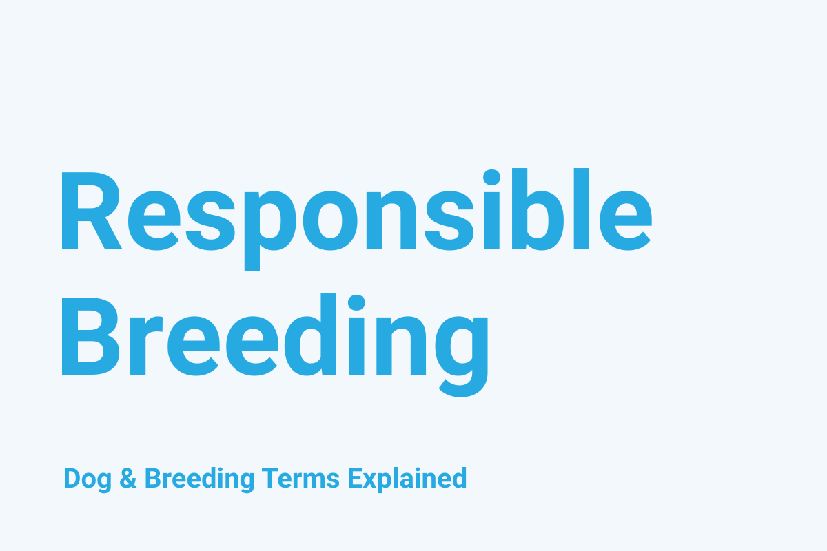 Responsible Breeding: Dog & Breeding Term Explained