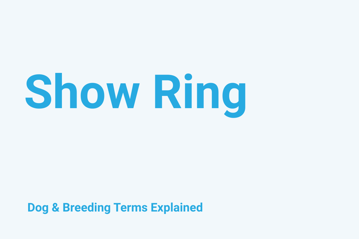 Show Ring: Dog & Breeding Term Explained