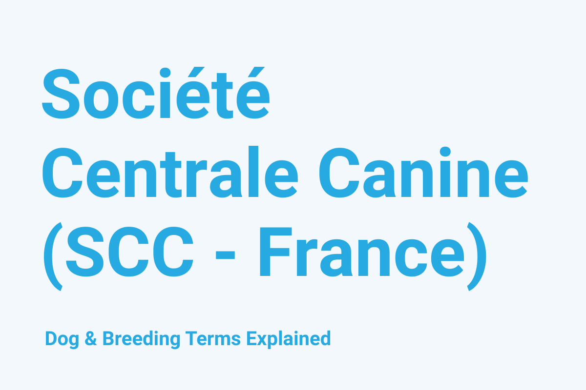 Société Centrale Canine (SCC - France): Dog & Breeding Term Explained