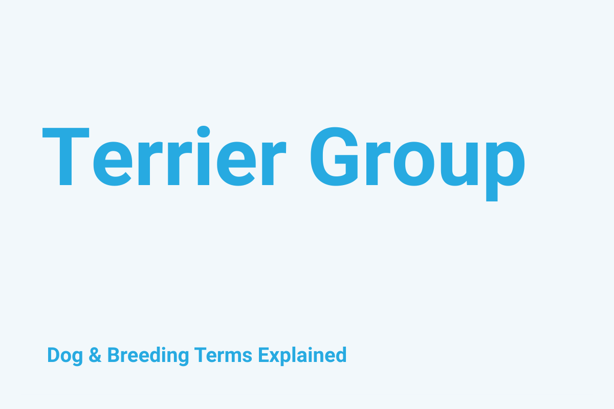 Terrier Group: Dog & Breeding Term Explained