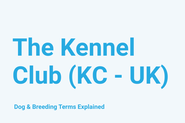 The Kennel Club (KC - UK): Dog & Breeding Term Explained