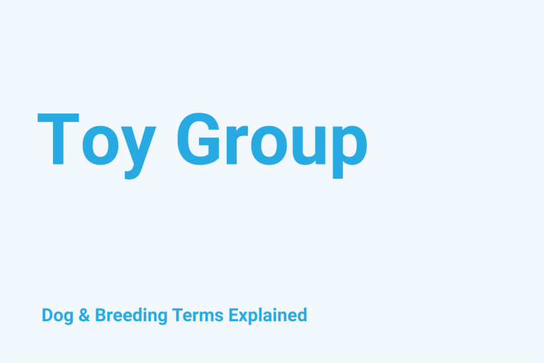 Toy Group: Dog & Breeding Term Explained