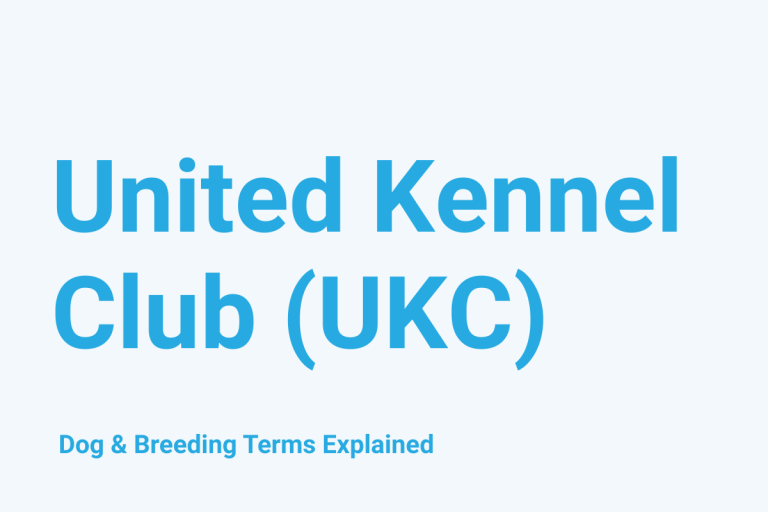 United Kennel Club (UKC): Dog & Breeding Term Explained