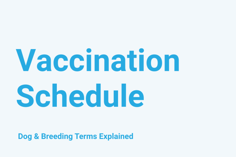 Vaccination Schedule: Dog & Breeding Term Explained