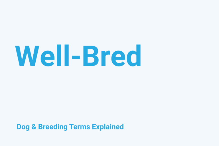 Well-Bred: Dog & Breeding Term Explained